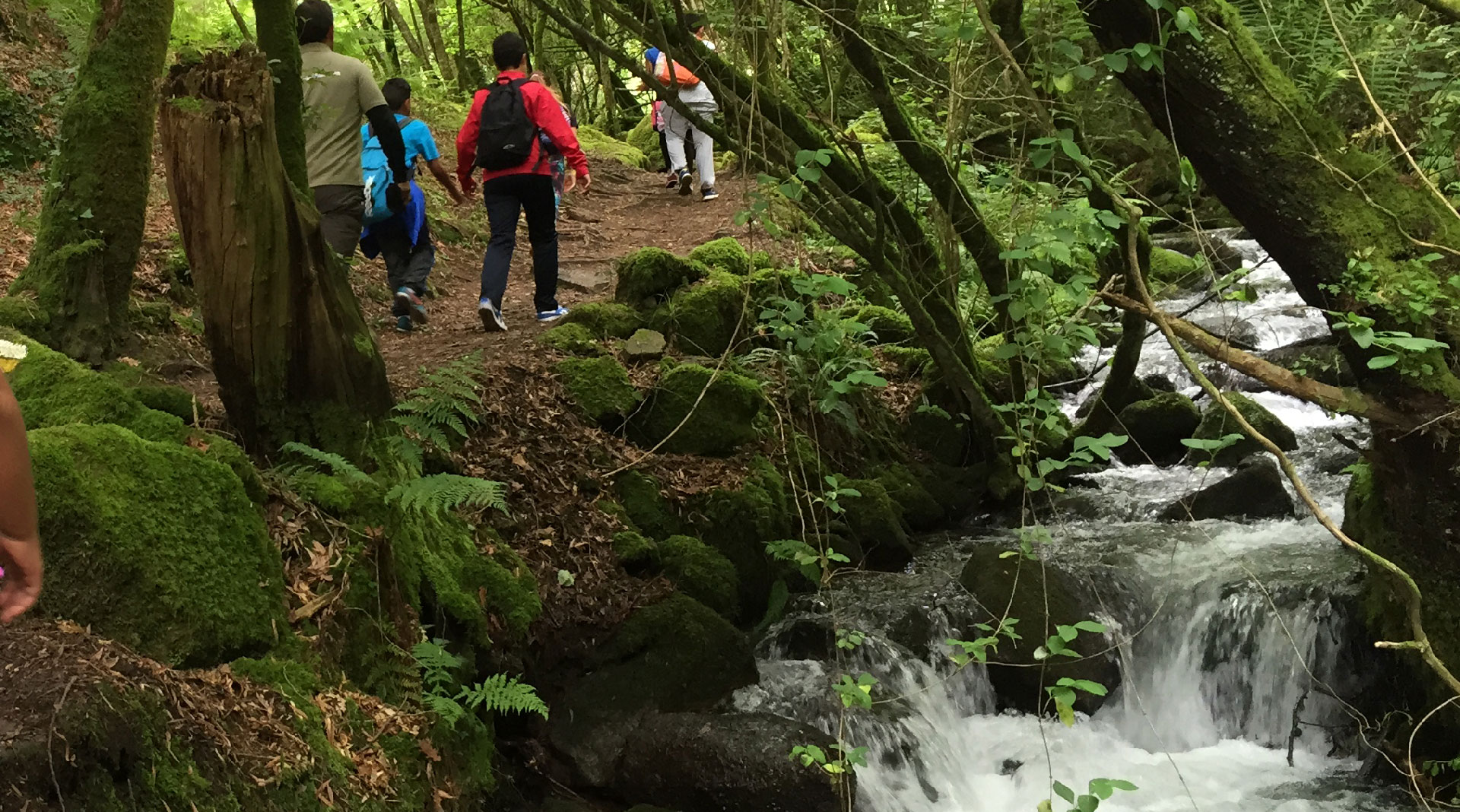 objetivos de una excursion escolar