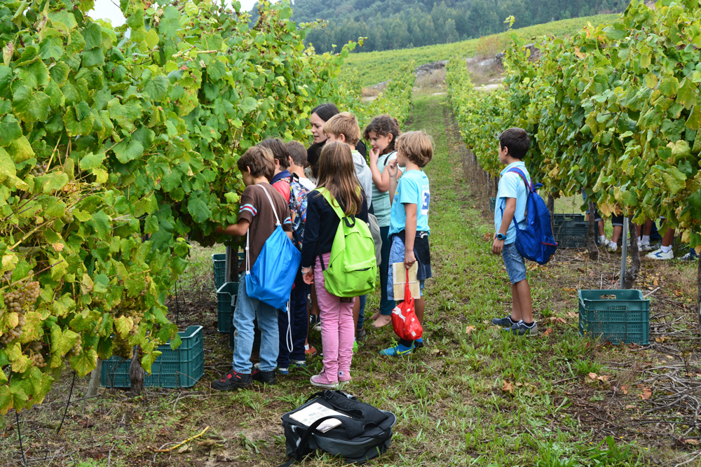 Excursión niños Pazo de Rubianes