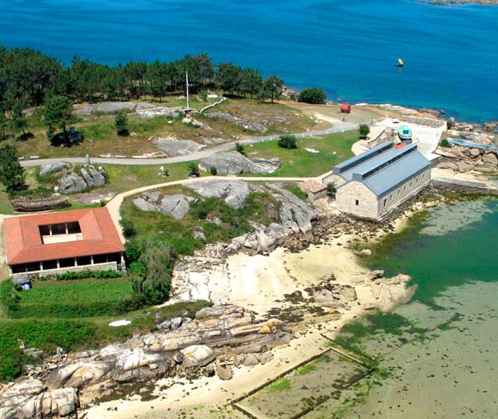 Catamarán y Museo Salazón O grove