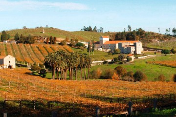 Pazo Baión