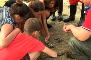 Taller De Marisqueo