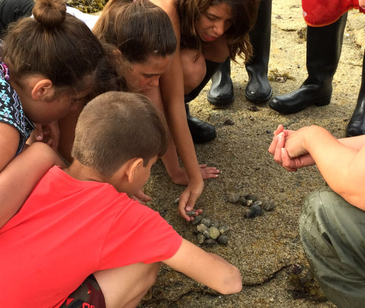 Taller De Marisqueo