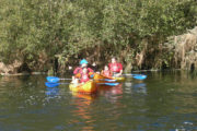 Descenso Río Umia Navegando