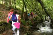 Ruta Piedra y Agua Caminando