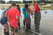 Taller De Marisqueo