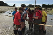 Taller Marisque recolectando