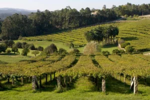 Excursión al Pazo De Baión 4