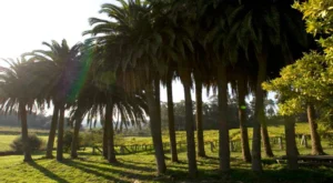 Excursión al Pazo De Baión 9